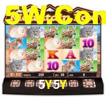 5Y5Y Plataforma